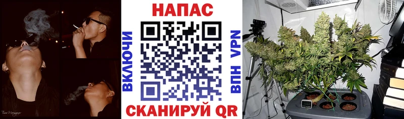 Купить закладку ГАШИШ СК Меф БУТИРАТ Кокаин Бошки Шишки Тында
