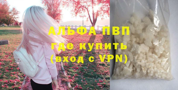 твердый Арсеньев