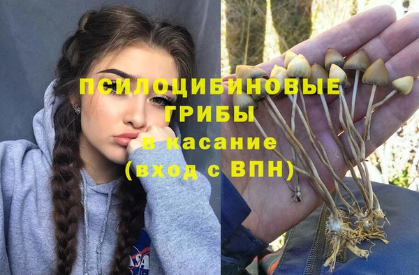 MDMA Premium VHQ Аркадак